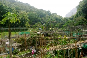 HK_Lion_Rock_01