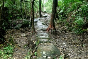 HK_Lion_Rock_03