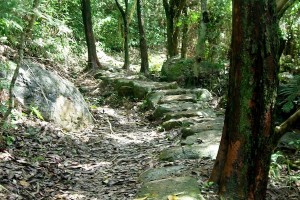 HK_Lion_Rock_04