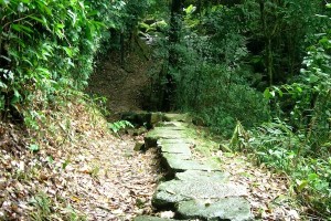 HK_Lion_Rock_05