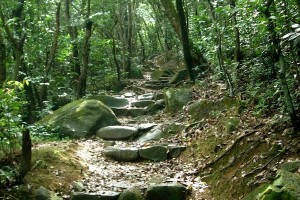 HK_Lion_Rock_07