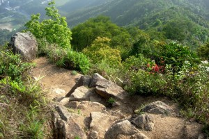 HK_Lion_Rock_25