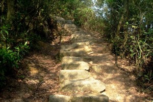 HK_Lion_Rock_26