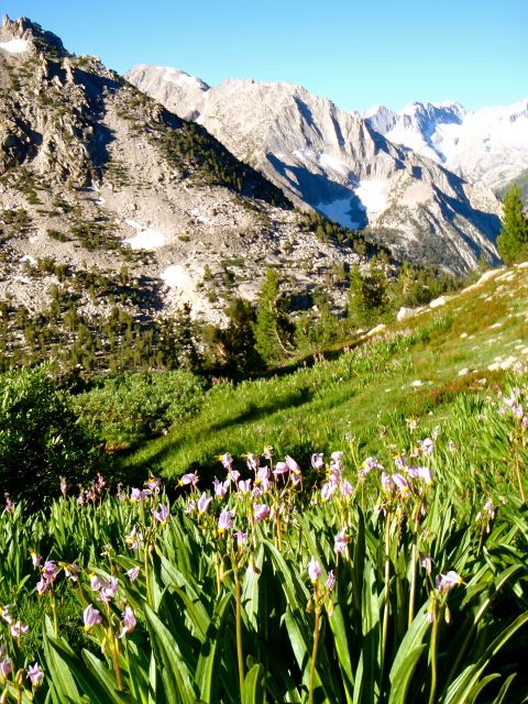 Rae Lakes Loop