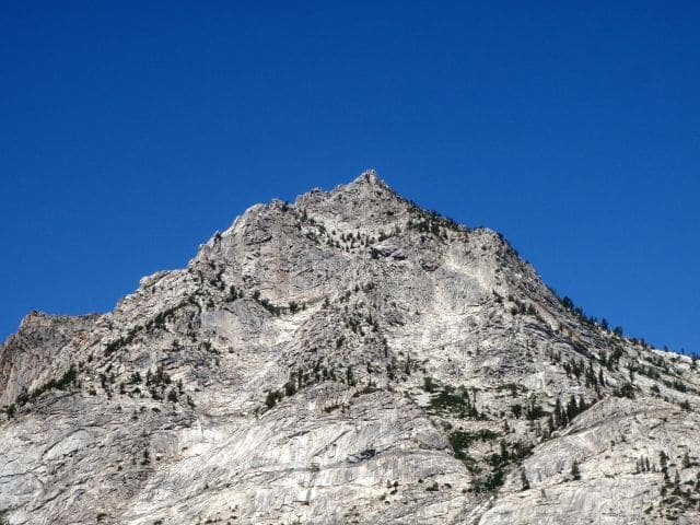 Castle Domes