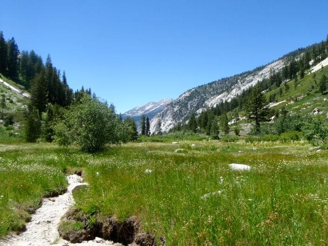 Castle Domes Meadow