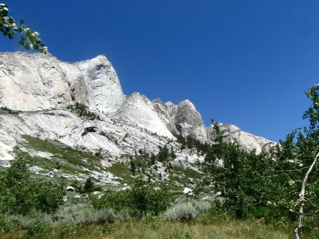 Castle Domes