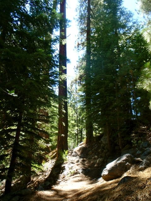 Woods Creek