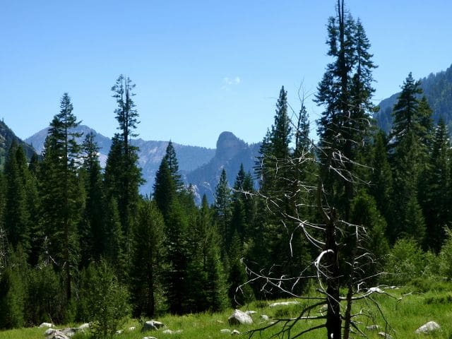 Buck Peak