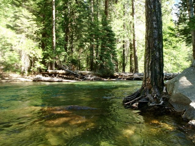Fork Kings River