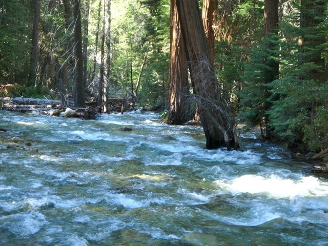 South Fork Kings River