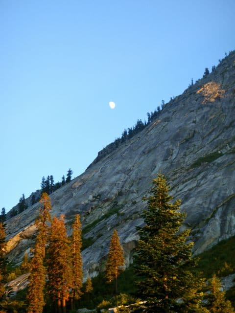 Mt Brewer side