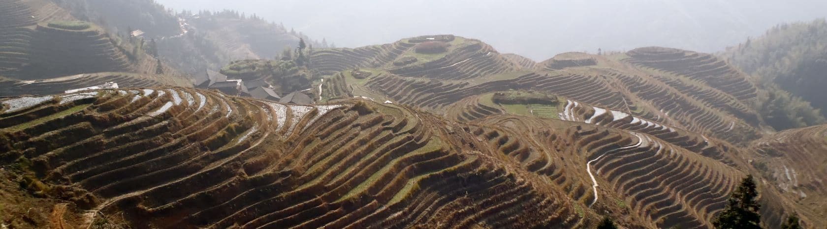 Longji Terraces